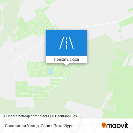 Карта Соколиная Улица