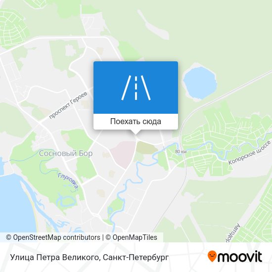 Карта Улица Петра Великого