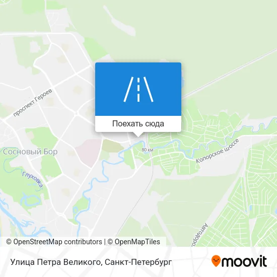 Карта Улица Петра Великого