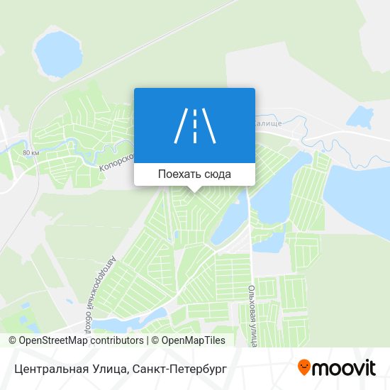 Карта Центральная Улица