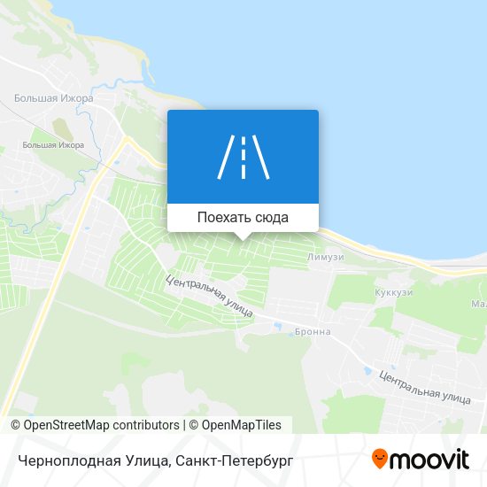 Карта Черноплодная Улица