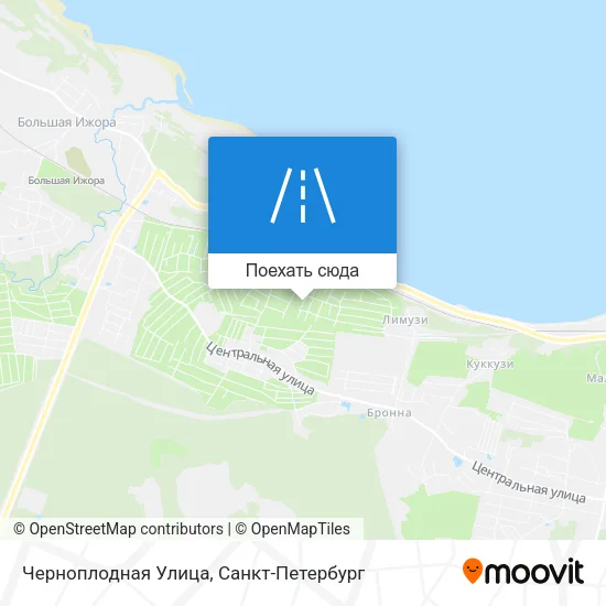 Карта Черноплодная Улица