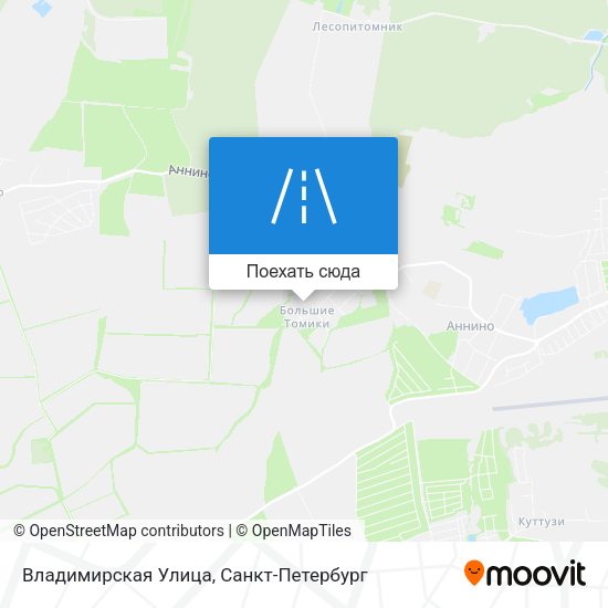 Карта Владимирская Улица