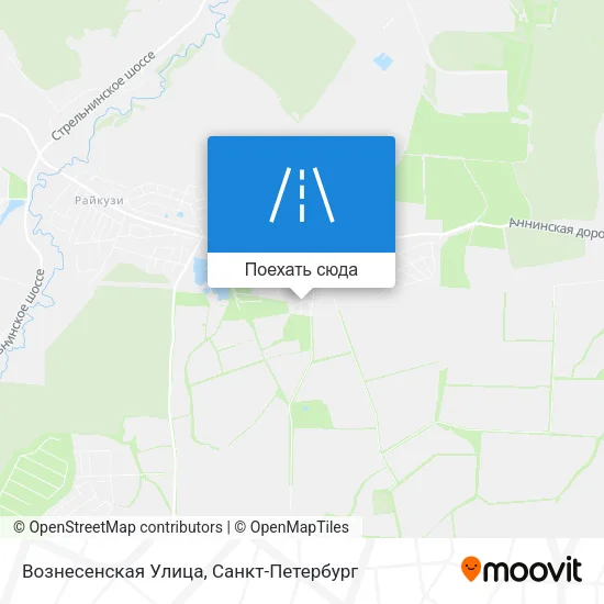Карта Вознесенская Улица