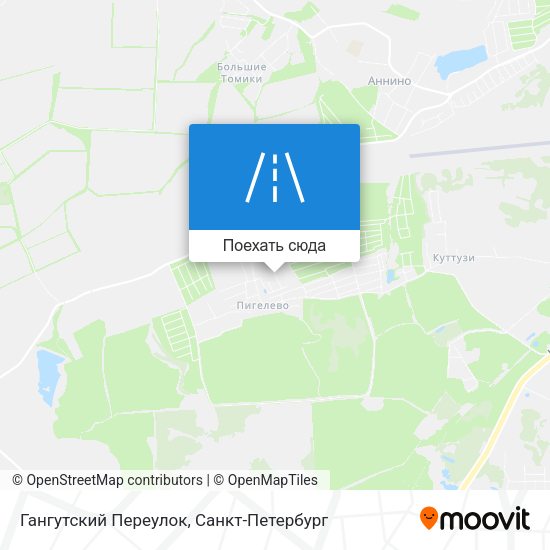 Карта Гангутский Переулок