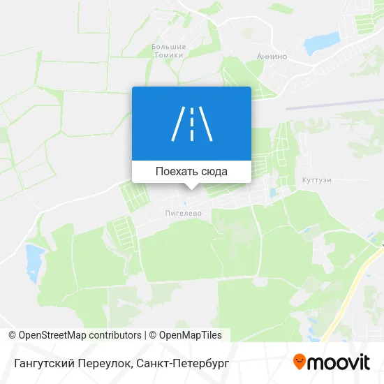 Карта Гангутский Переулок
