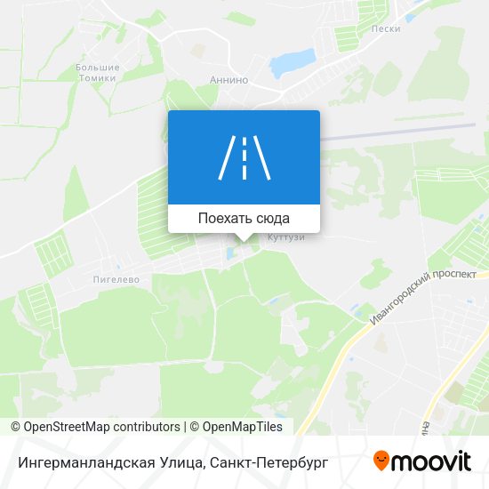 Карта Ингерманландская Улица