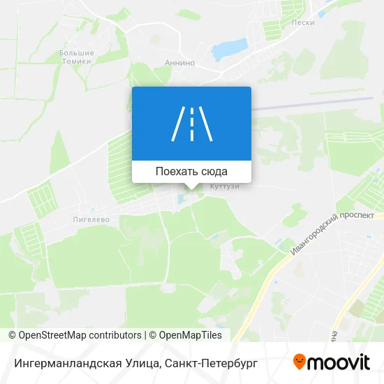 Карта Ингерманландская Улица