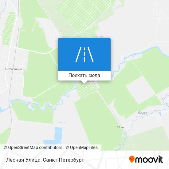 Карта Лесная Улица