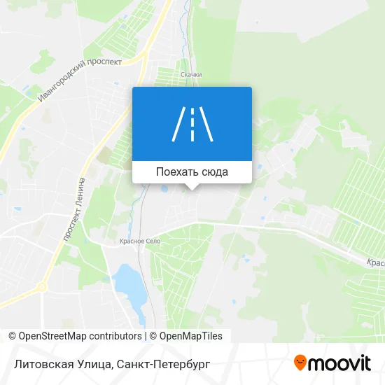 Карта Литовская Улица