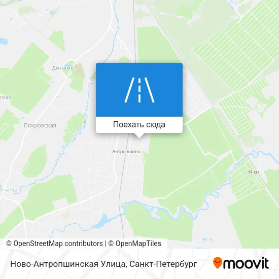 Карта Ново-Антропшинская Улица