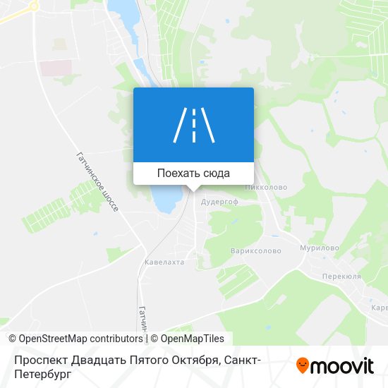 Карта Проспект Двадцать Пятого Октября
