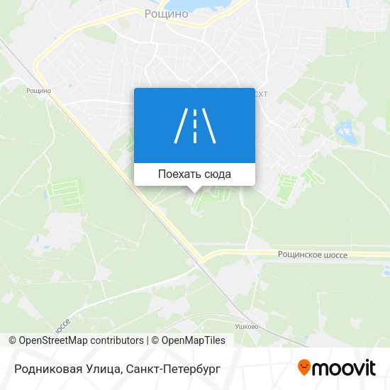 Карта Родниковая Улица