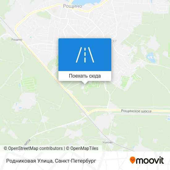 Карта Родниковая Улица