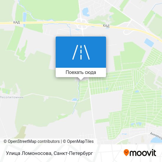 Карта Улица Ломоносова
