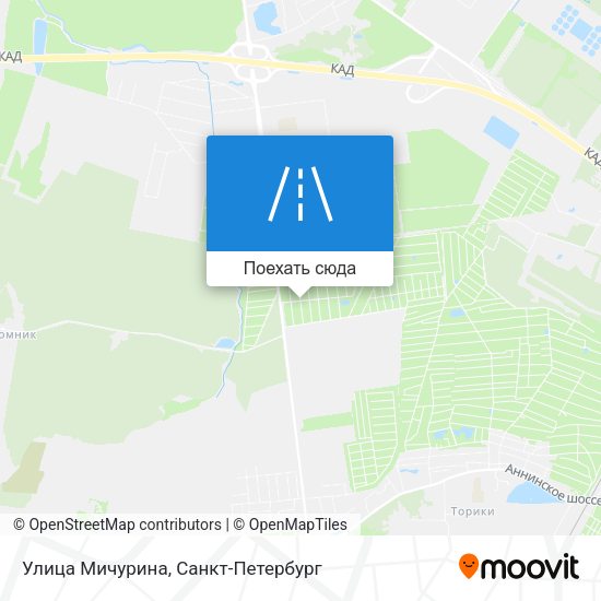 Карта Улица Мичурина