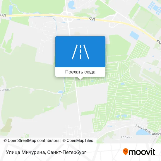 Карта Улица Мичурина