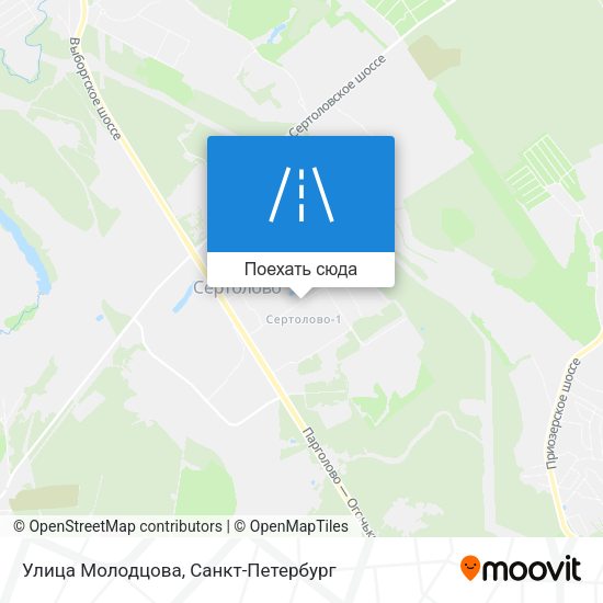 Карта Улица Молодцова