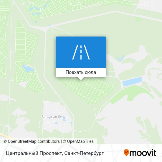 Карта Центральный Проспект