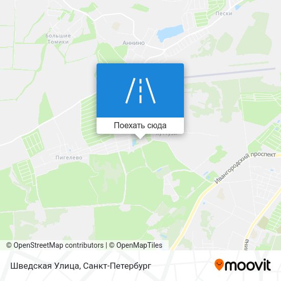 Карта Шведская Улица