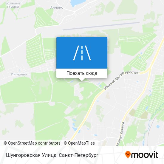 Карта Шунгоровская Улица
