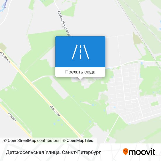 Карта Детскосельская Улица