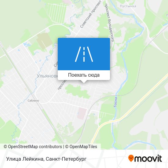Карта Улица Лейкина