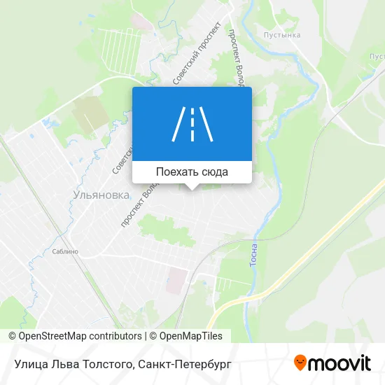 Карта Улица Льва Толстого
