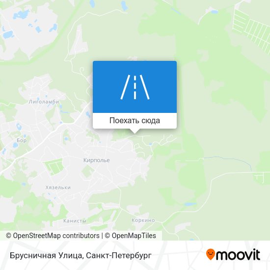 Карта Брусничная Улица