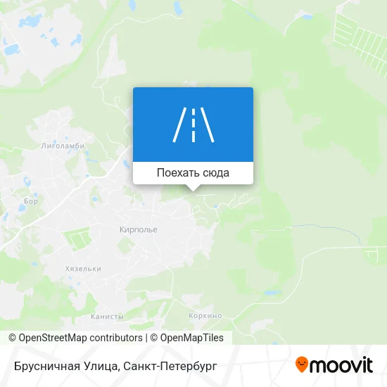 Карта Брусничная Улица