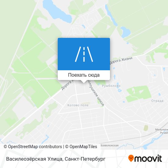 Карта Василеозёрская Улица