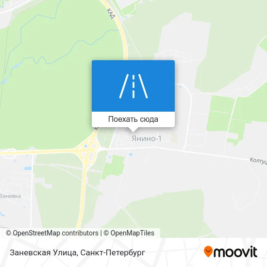 Карта Заневская Улица