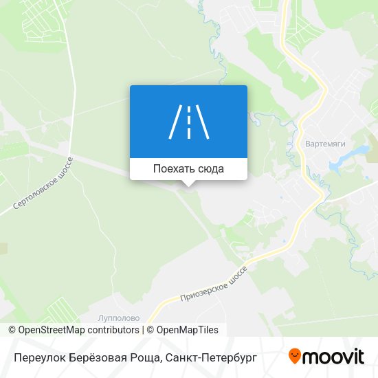Карта Переулок Берёзовая Роща