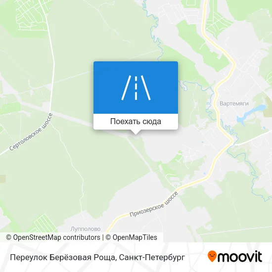 Карта Переулок Берёзовая Роща