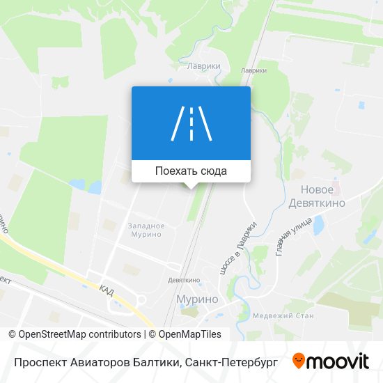 Карта Проспект Авиаторов Балтики