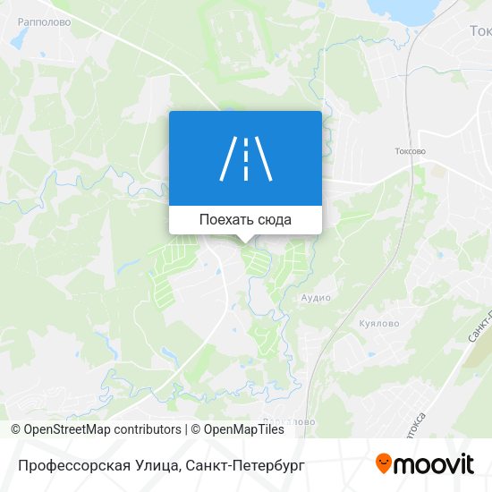 Карта Профессорская Улица