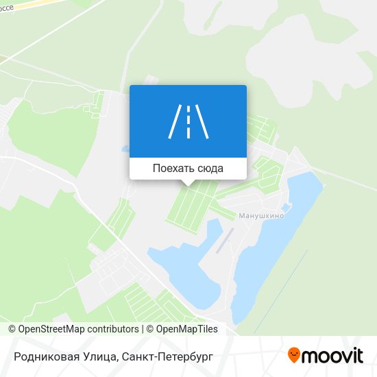 Карта Родниковая Улица