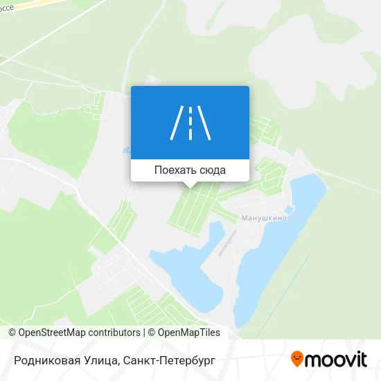 Карта Родниковая Улица