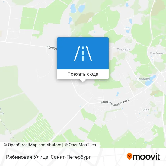 Карта Рябиновая Улица