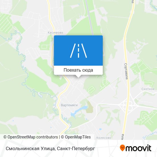 Карта Смольнинская Улица