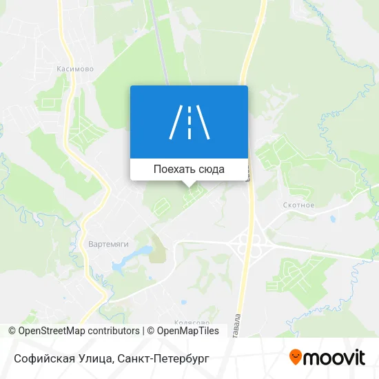 Карта Софийская Улица