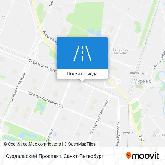 Карта Суздальский Проспект