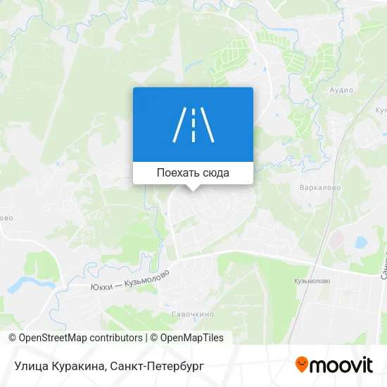 Карта Улица Куракина