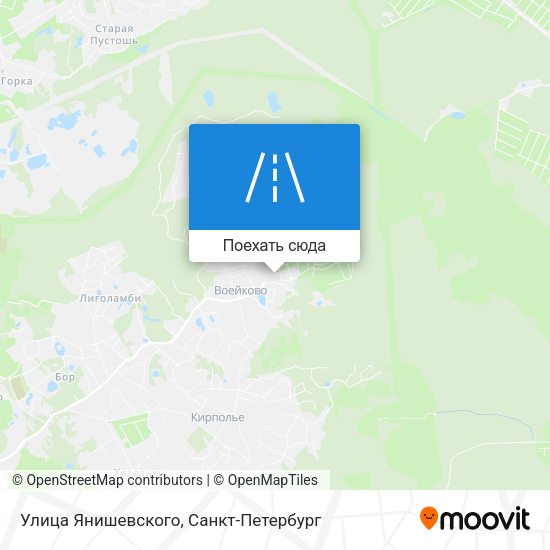 Карта Улица Янишевского