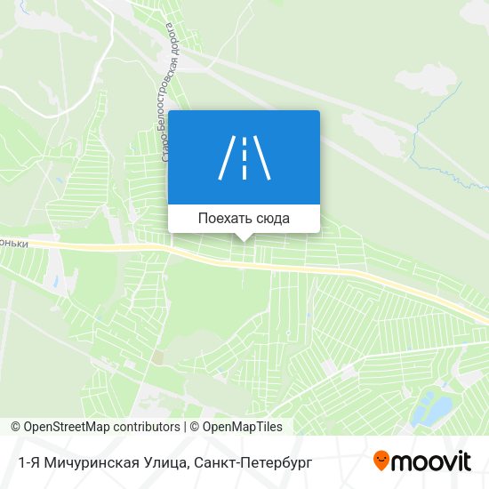 Карта 1-Я Мичуринская Улица