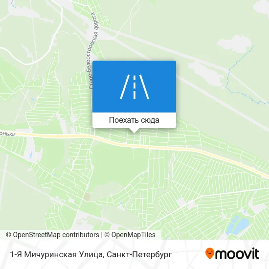 Карта 1-Я Мичуринская Улица