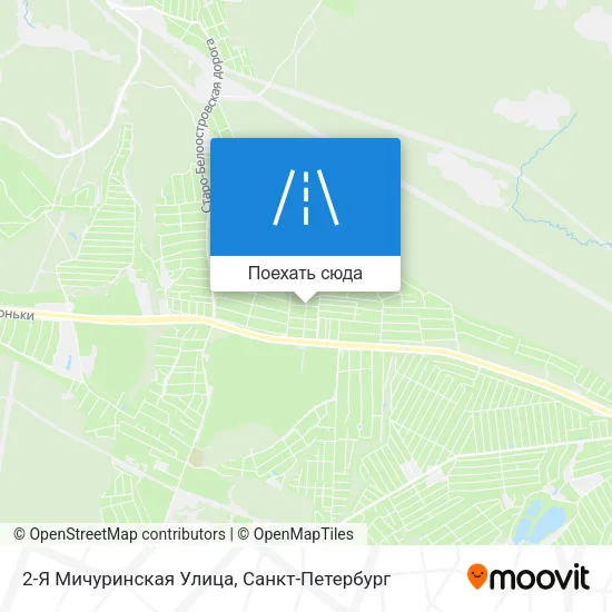Карта 2-Я Мичуринская Улица