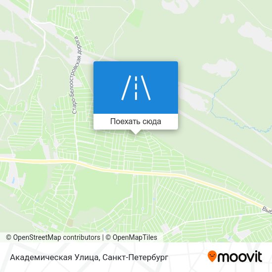 Карта Академическая Улица