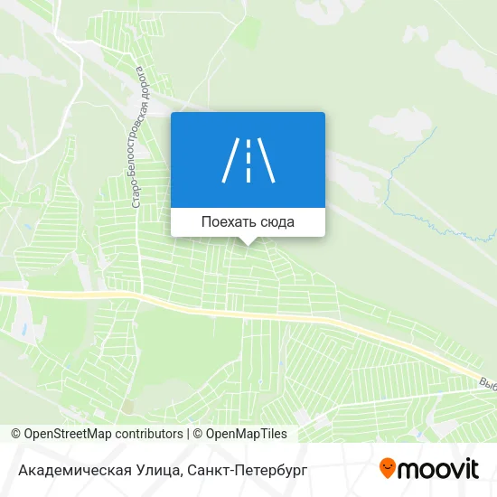 Карта Академическая Улица