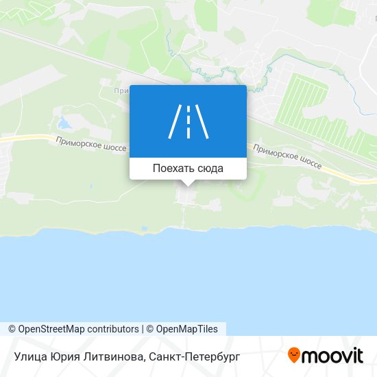 Карта Улица Юрия Литвинова